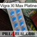 Vigra Xl Max Platinum 22
